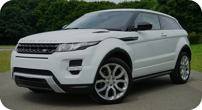 Car Importers & Auto Dealers