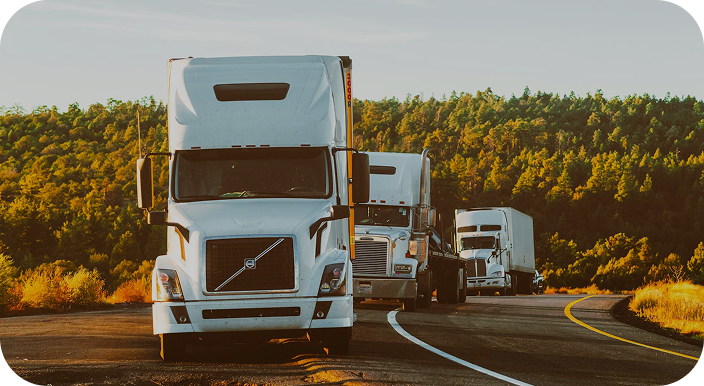 Logistics & Procurement Businesses